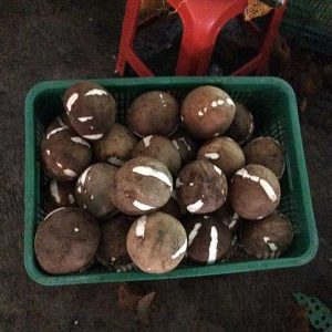 6788c94d721c56f7766d68d6ea1b592c