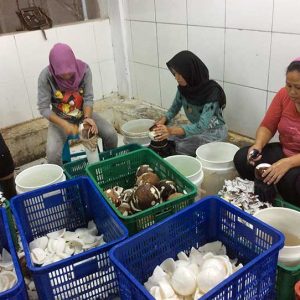 f9b383df3de5394ca3f9dad818ccce72